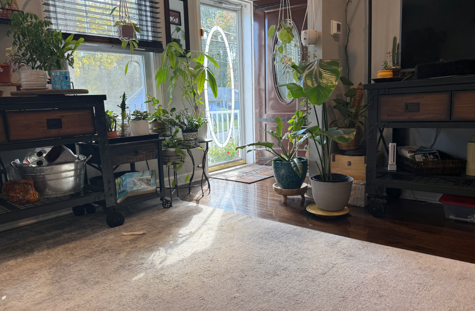 Rental Cleaning